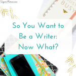 So You Want to Be a Writer: Now What?
