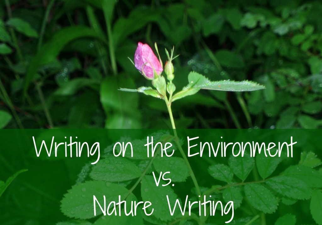 writing on the environment