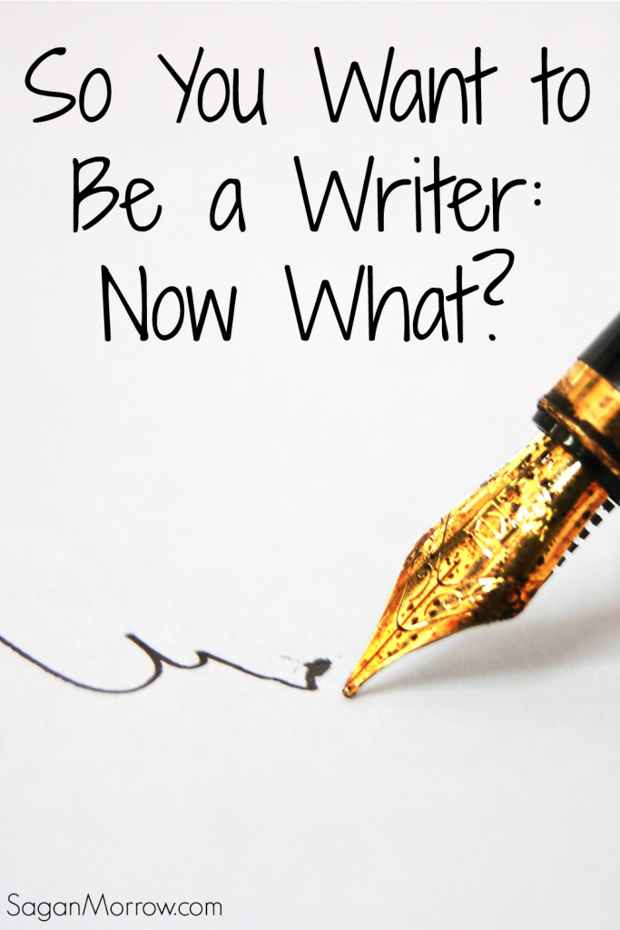 So You Want To Be A Writer: Now What?