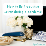 Productivity During a Pandemic