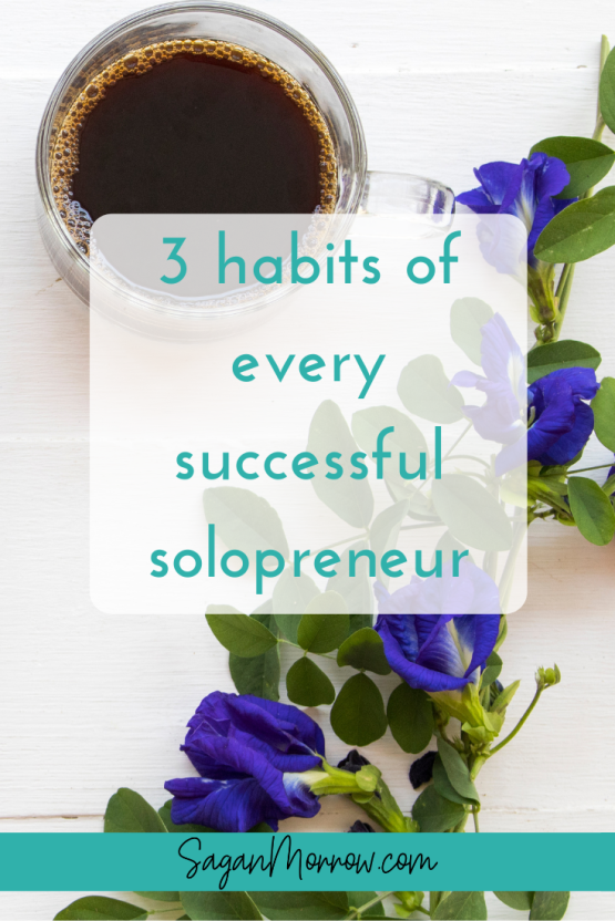 3 Habits Of A Successful Solopreneur (What Makes For A Successful ...