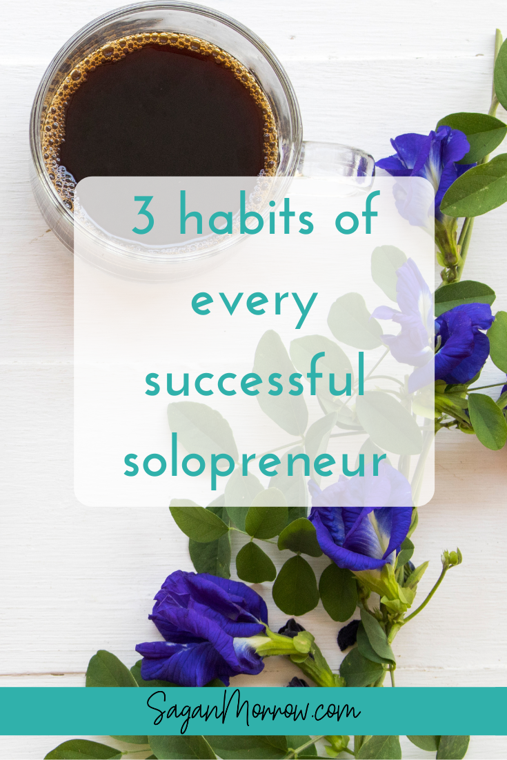 habits of a successful solopreneur