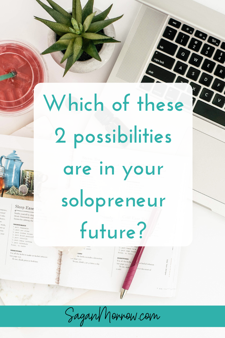 Which of these 2 possibilities are in your solopreneur future
