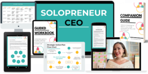 solopreneur coaching program