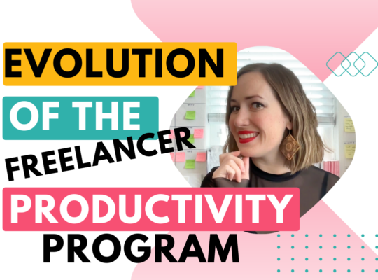 Evolution of the freelancer productivity program