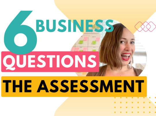 business assessment - 6 questions