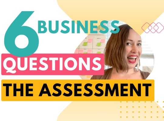 Self honesty assessment in business: 6 questions (blog post)