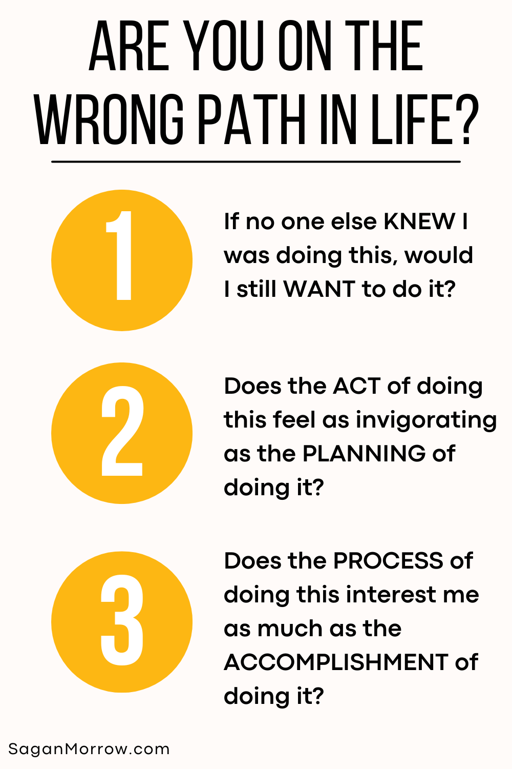 Are you on the wrong path in life assessment infographic - If no one else knew I was doing this, would I still want to do it? Does the act of doing this feel as invigorating as the planning of doing it? Does the process of doing this interest me as much as the accomplishment of doing it?