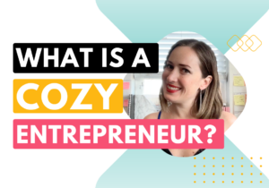 What is a cozy entrepreneur?