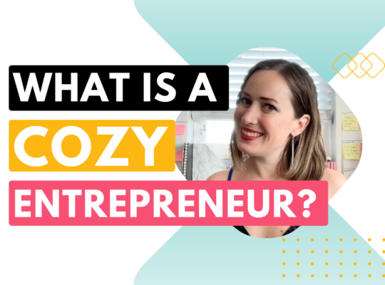 What is a cozy entrepreneur?