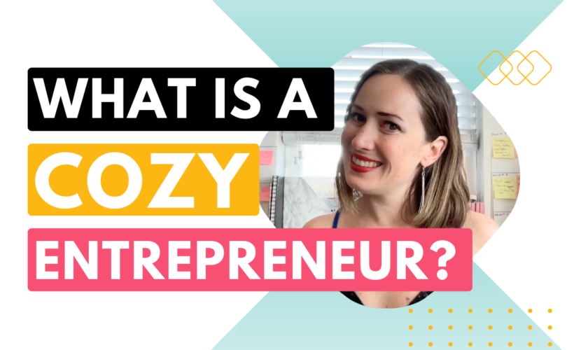 What is a cozy entrepreneur?