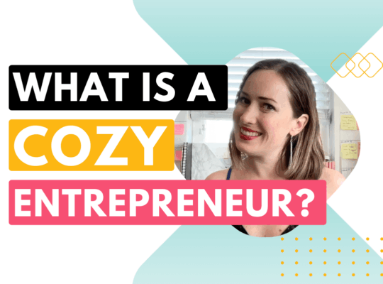 What is a cozy entrepreneur?